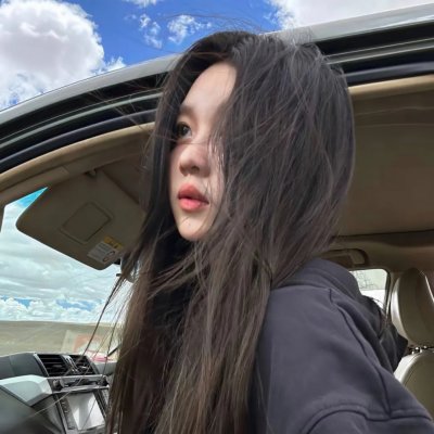 疯狂的狮王