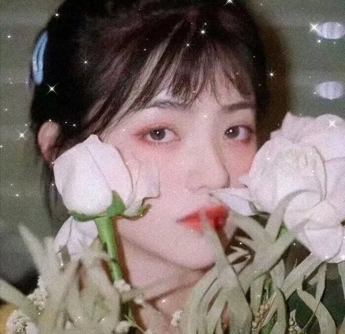 苍穹浩瀚第五季